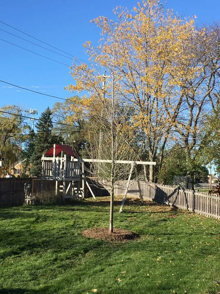 Reliable residential landscaping in New Berlin, WI by Trees On The Move