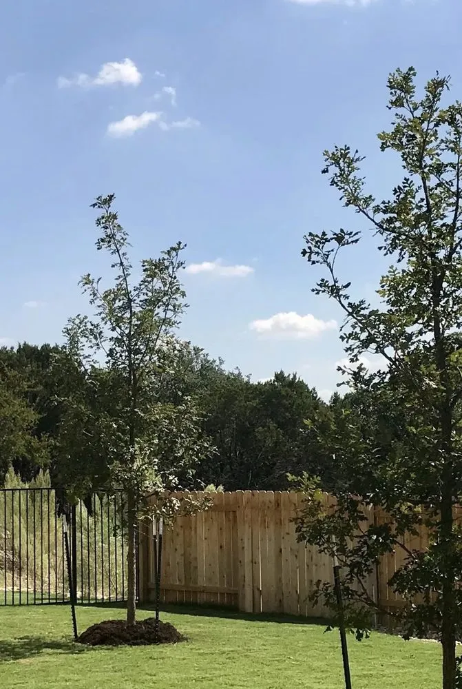 Reliable yard maintenance in Pflugerville, TX - Trees Please