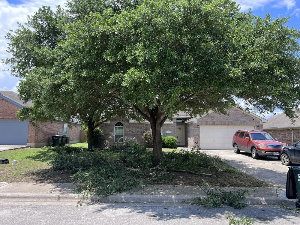 Custom garden landscaping in Pflugerville, TX - Trees Please