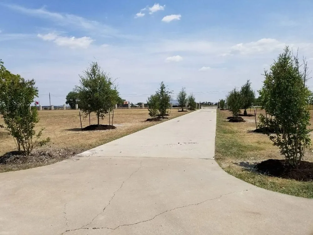 Professional lawn mowing service for beautiful yards in Pflugerville, TX by Trees Please
