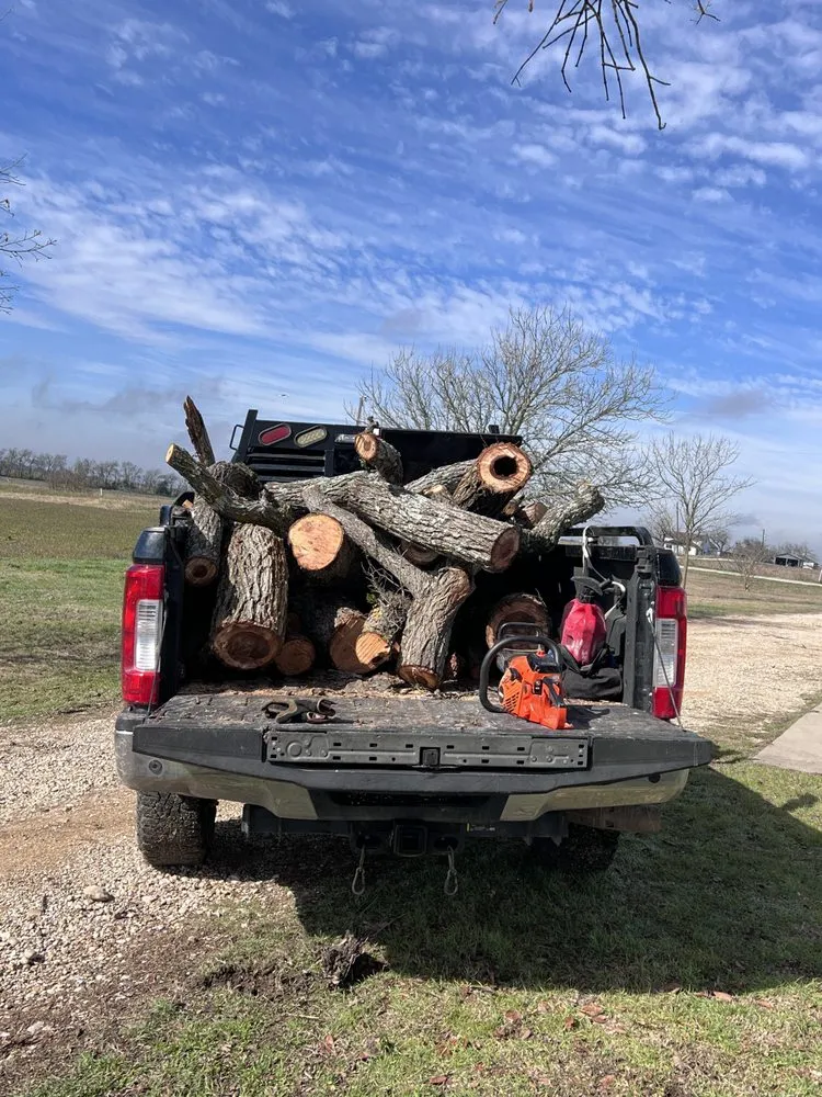 Professional landscape installation experts serving Pflugerville, TX - Trees Please