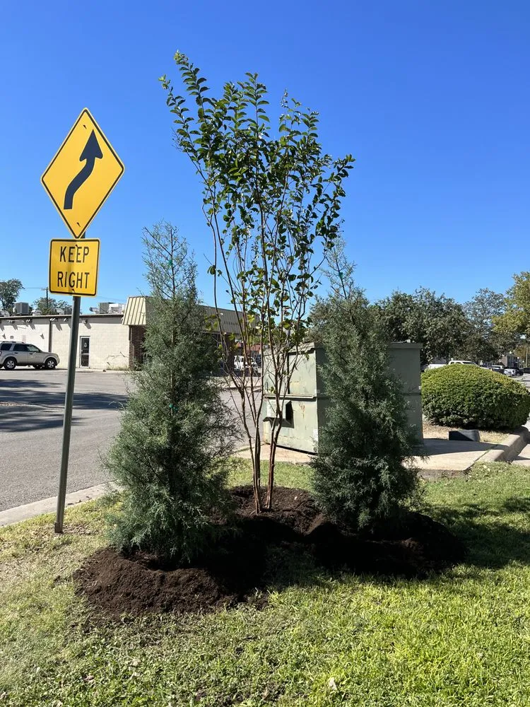 Reliable landscaping services experts serving Pflugerville, TX - Trees Please