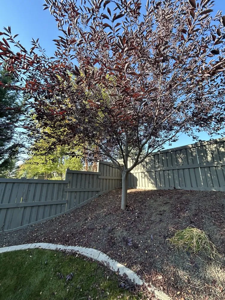 Trusted residential landscaping experts serving Nampa, ID - Trees Plus