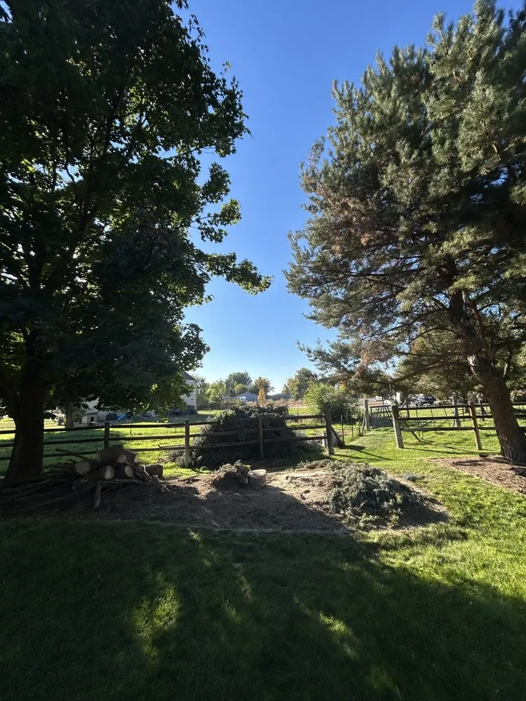 Trusted landscape installation experts serving Nampa, ID - Trees Plus