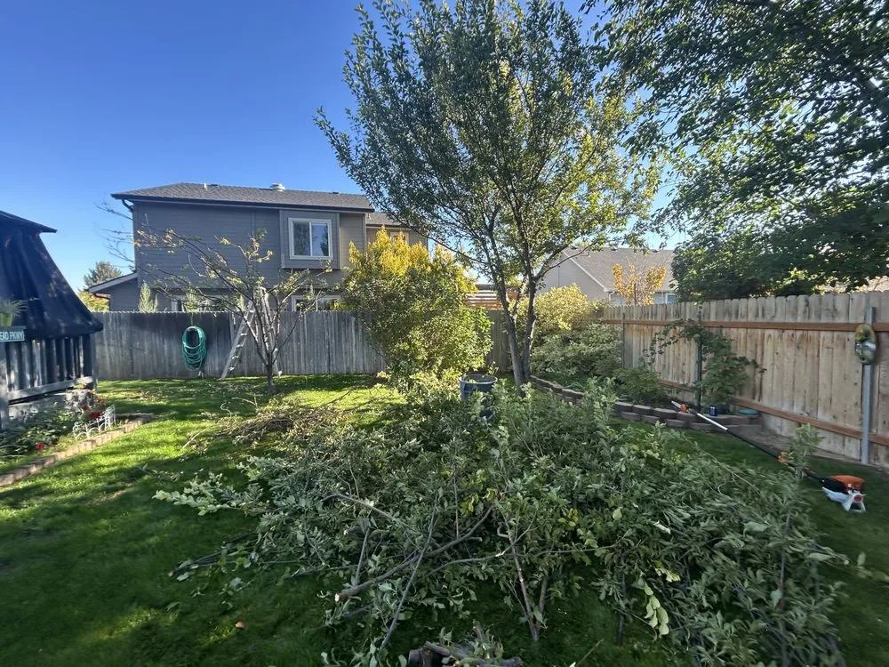 Affordable outdoor landscaping in Nampa, ID - Trees Plus