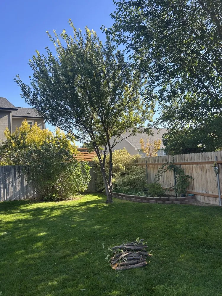 Local landscaping services for outdoor upgrades in Nampa, ID by Trees Plus