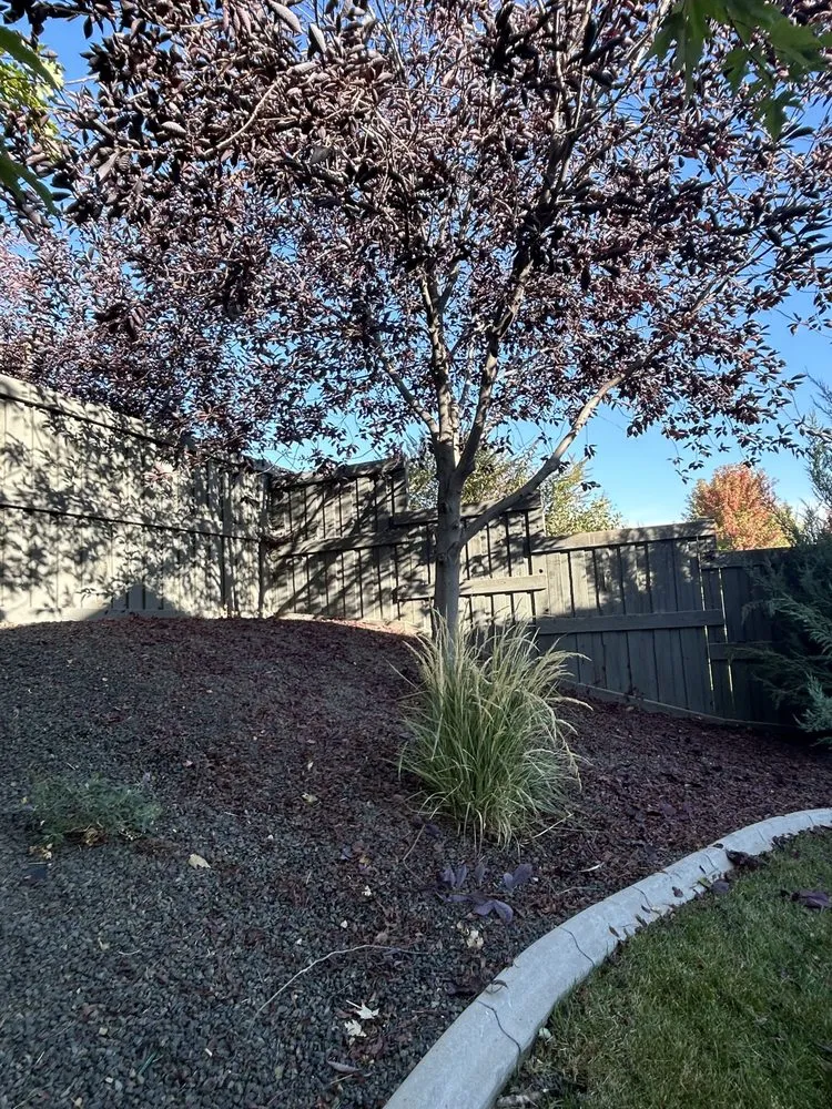 Reliable landscaping services experts serving Nampa, ID - Trees Plus