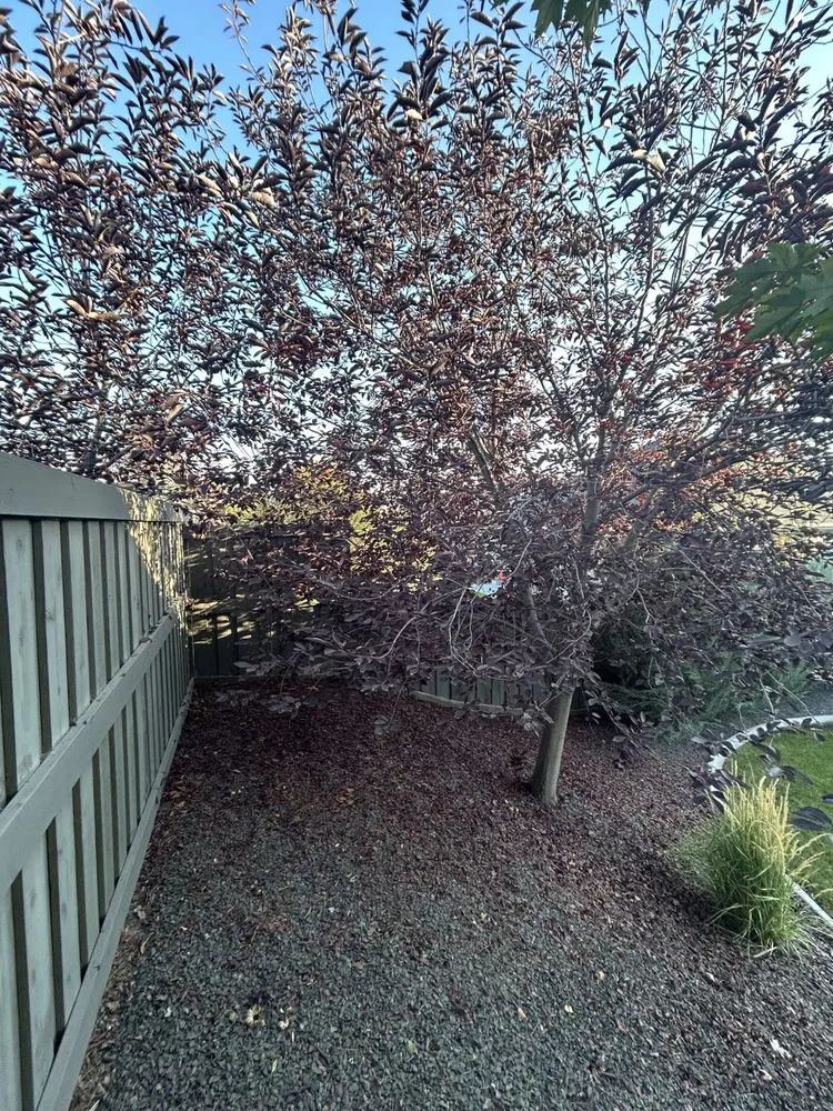 Local landscaping services with custom design across Nampa, ID - Trees Plus