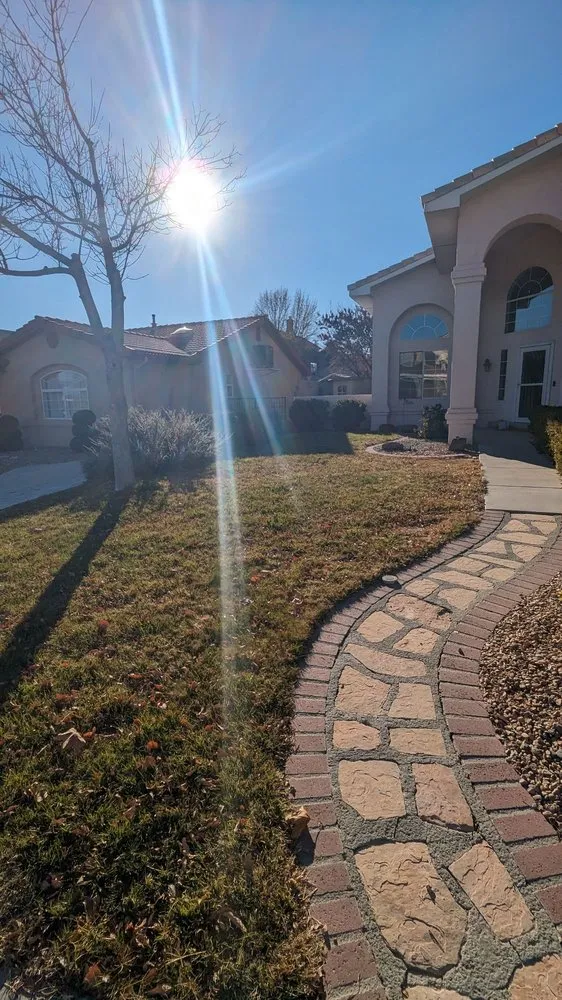 Expert yard maintenance for residential properties in Albuquerque, NM by Trees R' Us