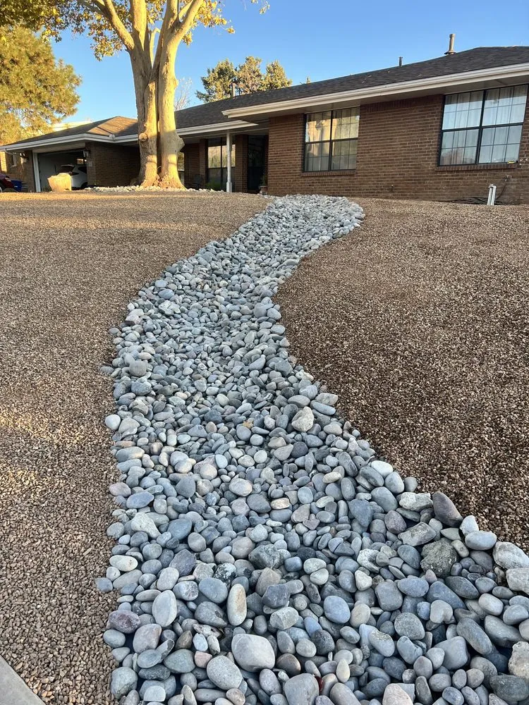 Local yard maintenance experts serving Albuquerque, NM - Trees R' Us