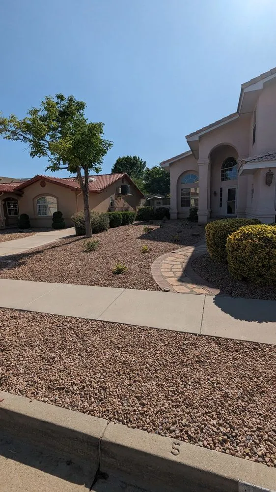 Affordable lawn care service in Albuquerque, NM by Trees R' Us