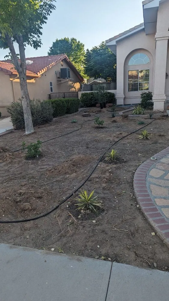 Affordable landscaping services experts serving Albuquerque, NM - Trees R' Us