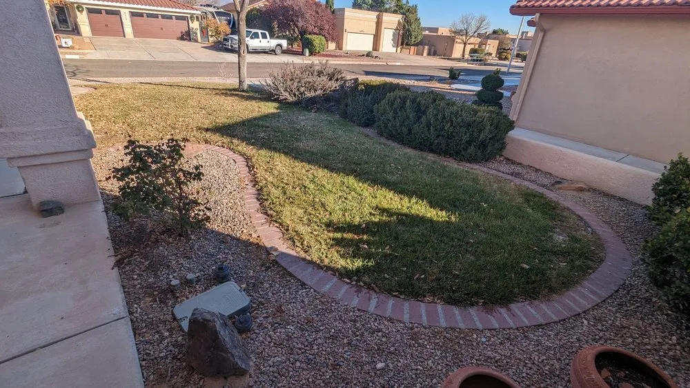 Reliable lawn care service experts serving Albuquerque, NM - Trees R' Us