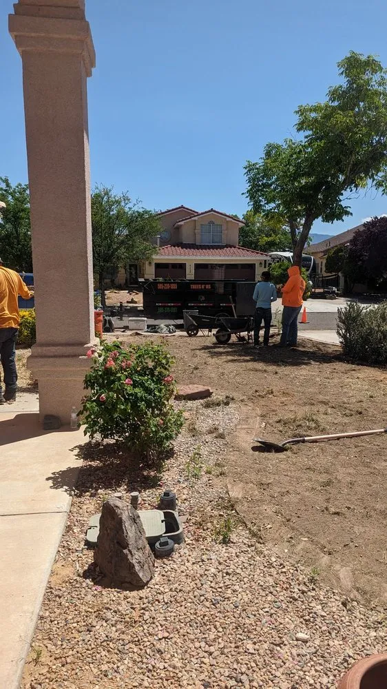 Top-rated yard cleanup service in Albuquerque, NM - Trees R' Us