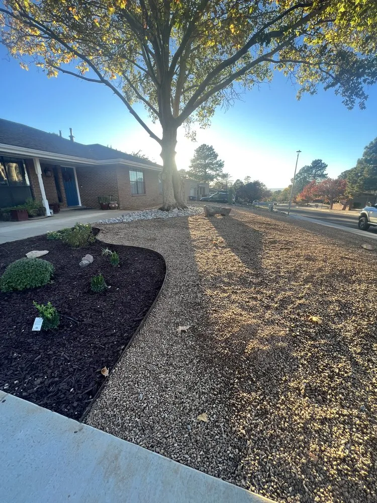 Local landscaping services in Albuquerque, NM by Trees R' Us