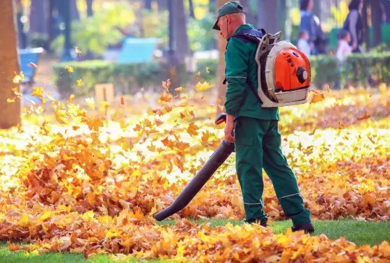 Professional landscape design with custom design across Albuquerque, NM - Trees R' Us