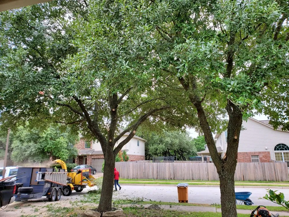 Local outdoor landscaping with custom design across Austin, TX - Trees R Us