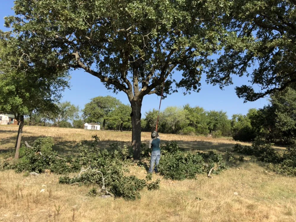 Local residential landscaping for outdoor upgrades across Austin, TX - Trees R Us