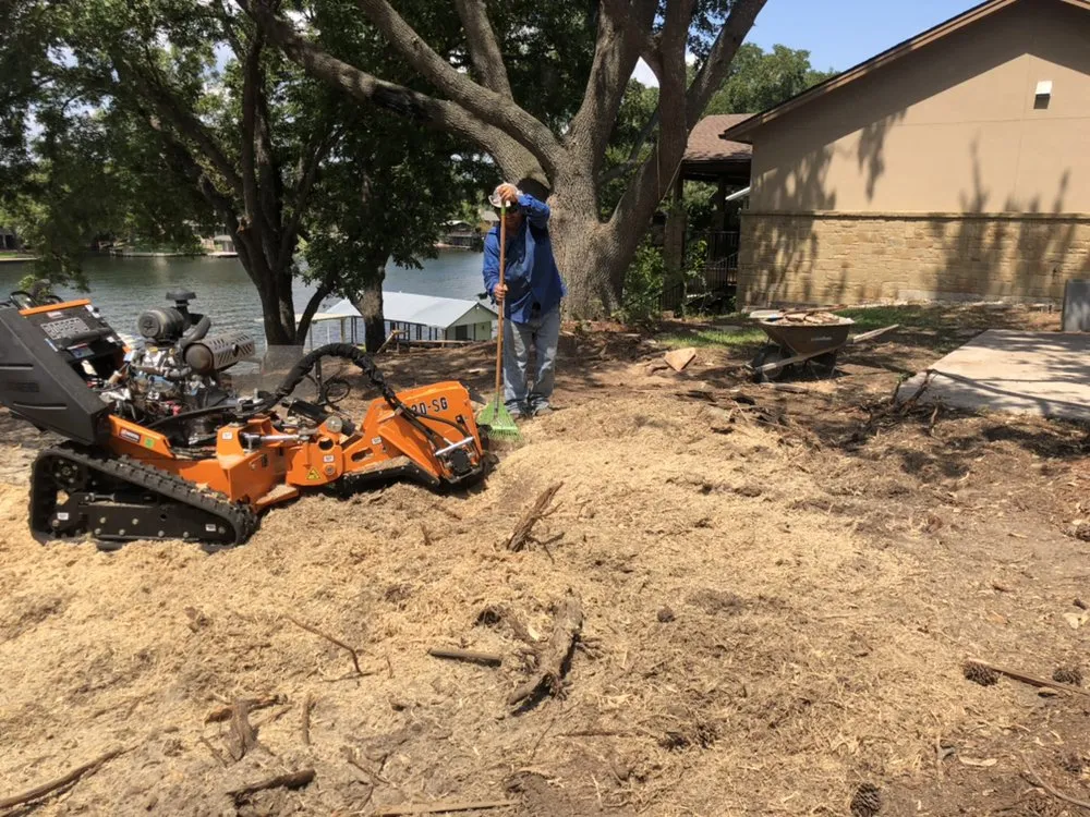 Trusted landscaping services for year-round maintenance across Austin, TX - Trees R Us