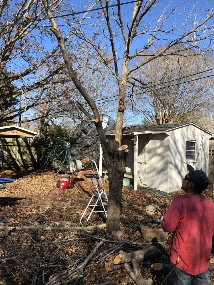 Trusted outdoor landscaping for outdoor upgrades across Austin, TX - Trees R Us