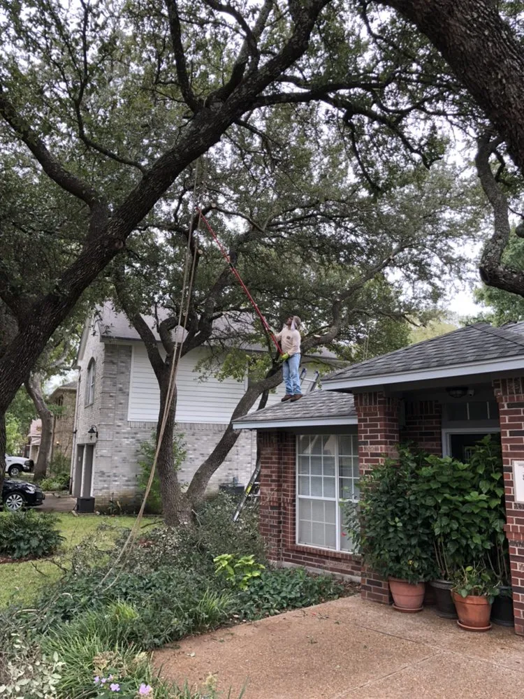 Expert lawn mowing service experts serving Austin, TX - Trees R Us