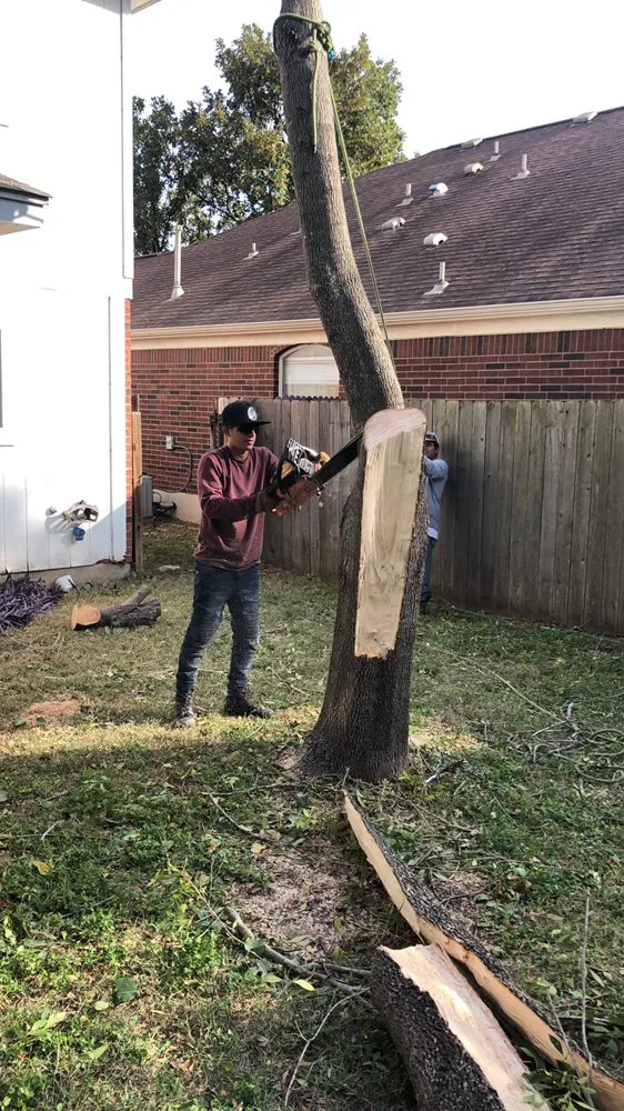 Trusted outdoor landscaping for beautiful yards in Austin, TX by Trees R Us