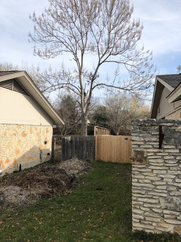 Professional landscape design experts serving Austin, TX - Trees R Us