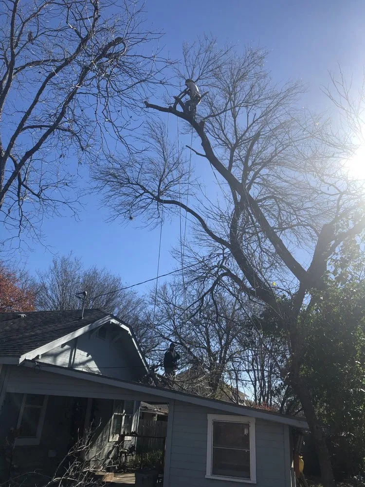 Trusted lawn mowing service in Austin, TX - Trees R Us