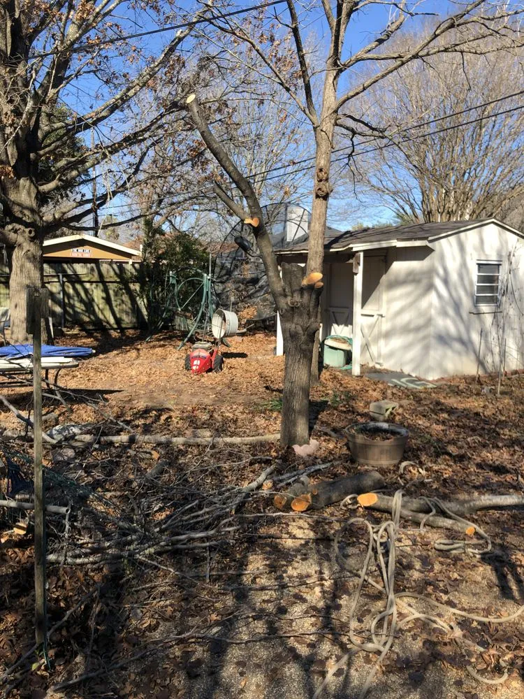 Custom lawn mowing service with custom design across Austin, TX - Trees R Us