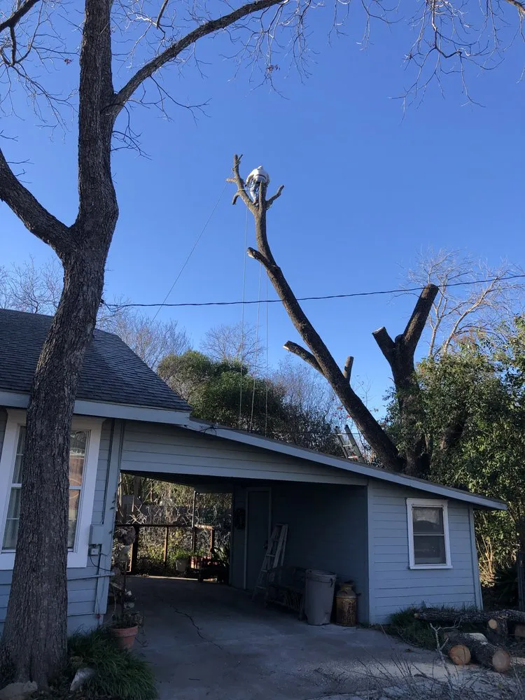 Trusted yard maintenance for beautiful yards across Austin, TX - Trees R Us