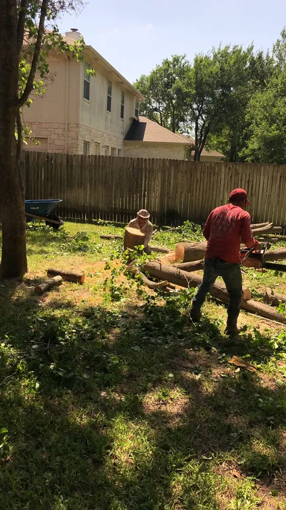 Reliable landscape installation for homes in Austin, TX by Trees R Us