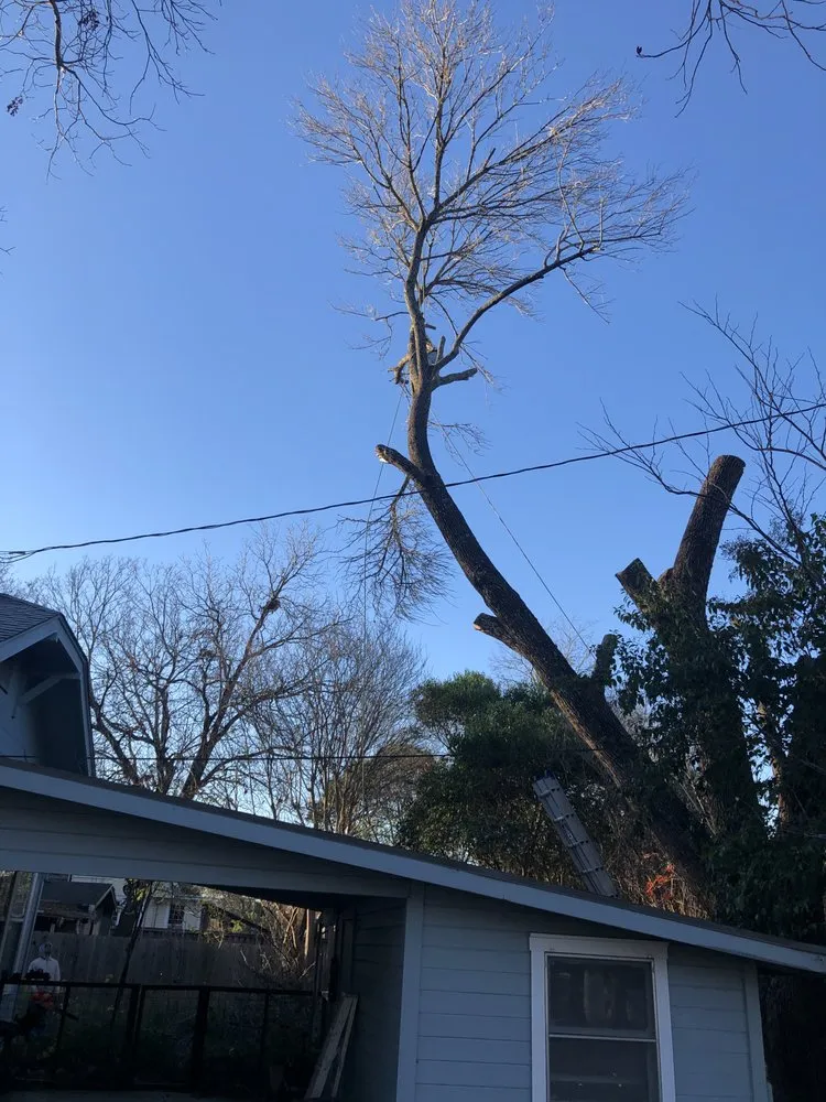 Reliable garden landscaping for residential properties in Austin, TX by Trees R Us