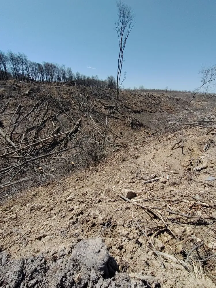 Trusted landscape design experts serving Bloomsburg, PA - Trees R Us