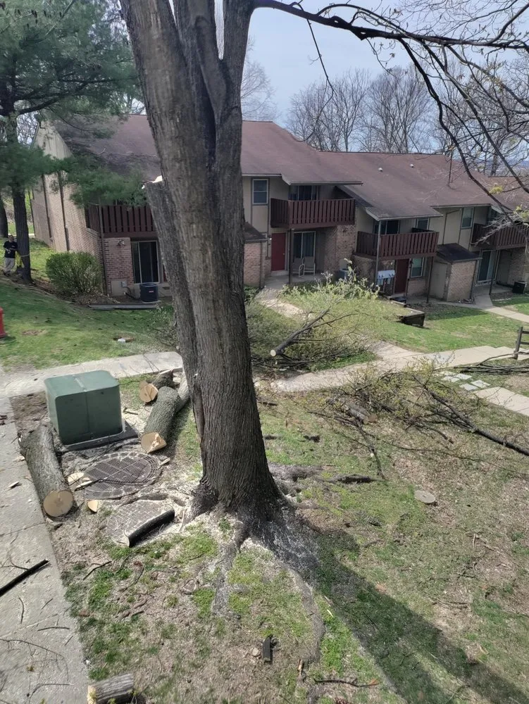 Affordable residential landscaping with custom design in Bloomsburg, PA by Trees R Us