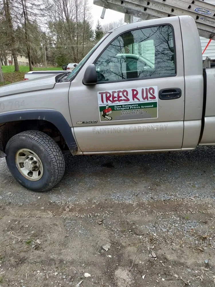 Local garden landscaping experts serving Bloomsburg, PA - Trees R Us