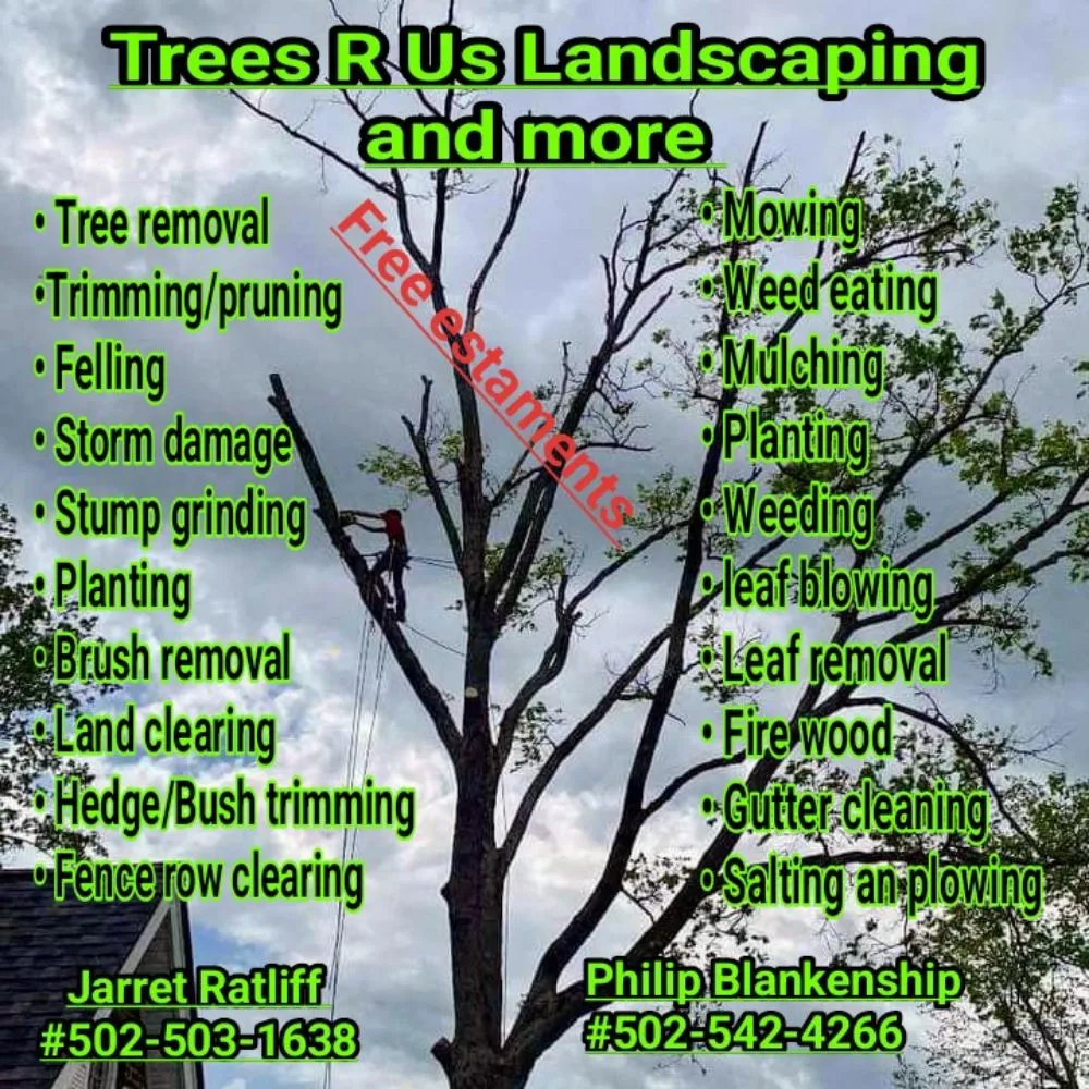 Top-rated landscape installation in Georgetown, KY - Trees R Us
