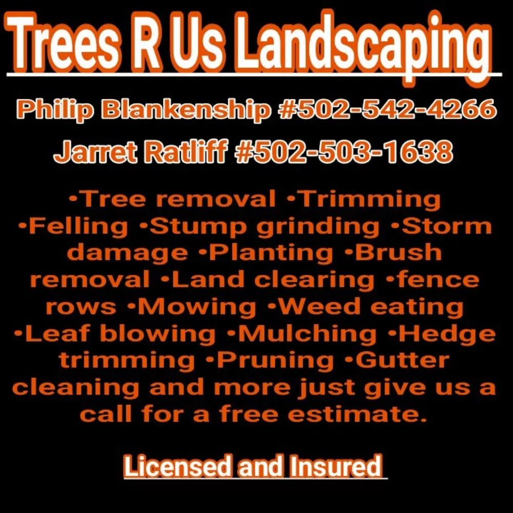 Custom yard maintenance in Georgetown, KY - Trees R Us