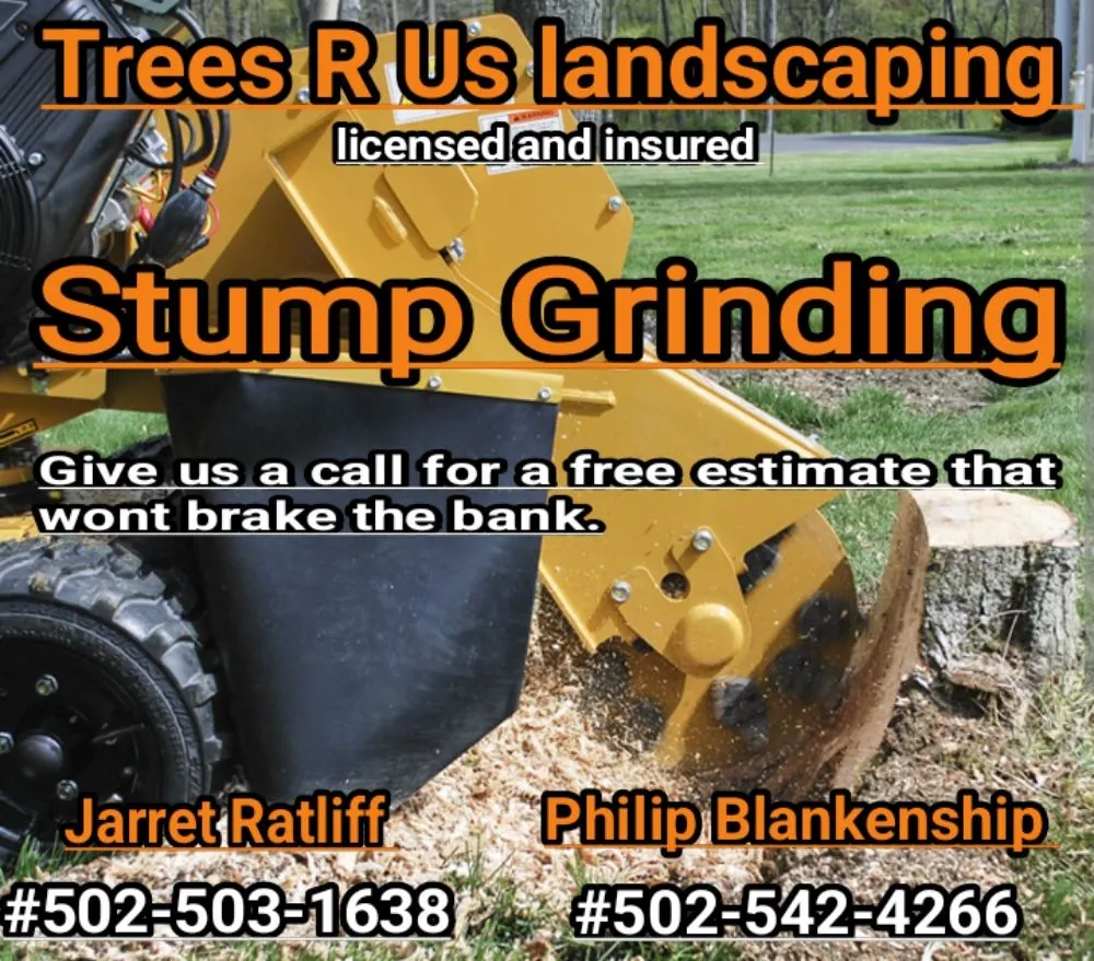 Professional landscape design in Georgetown, KY - Trees R Us