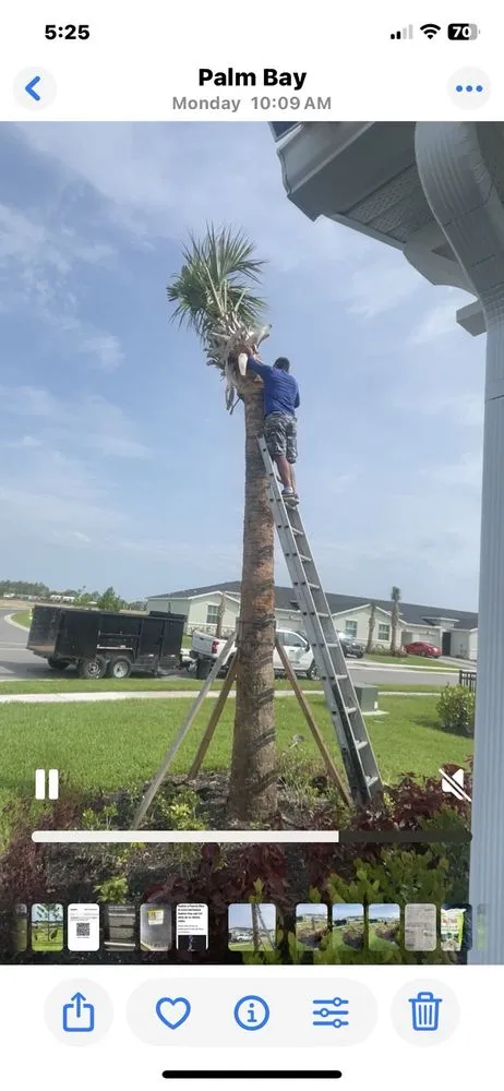 Top-rated landscape design with custom design in Melbourne, FL by Tree’s R us