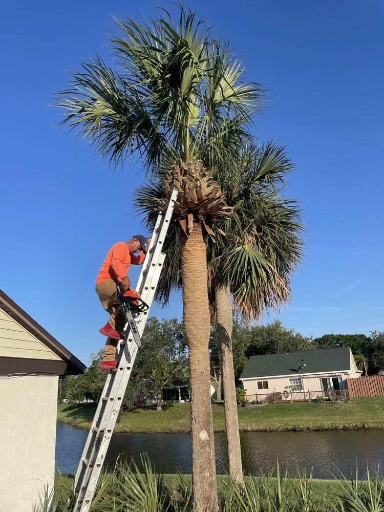 Trusted residential landscaping in Melbourne, FL - Tree’s R us