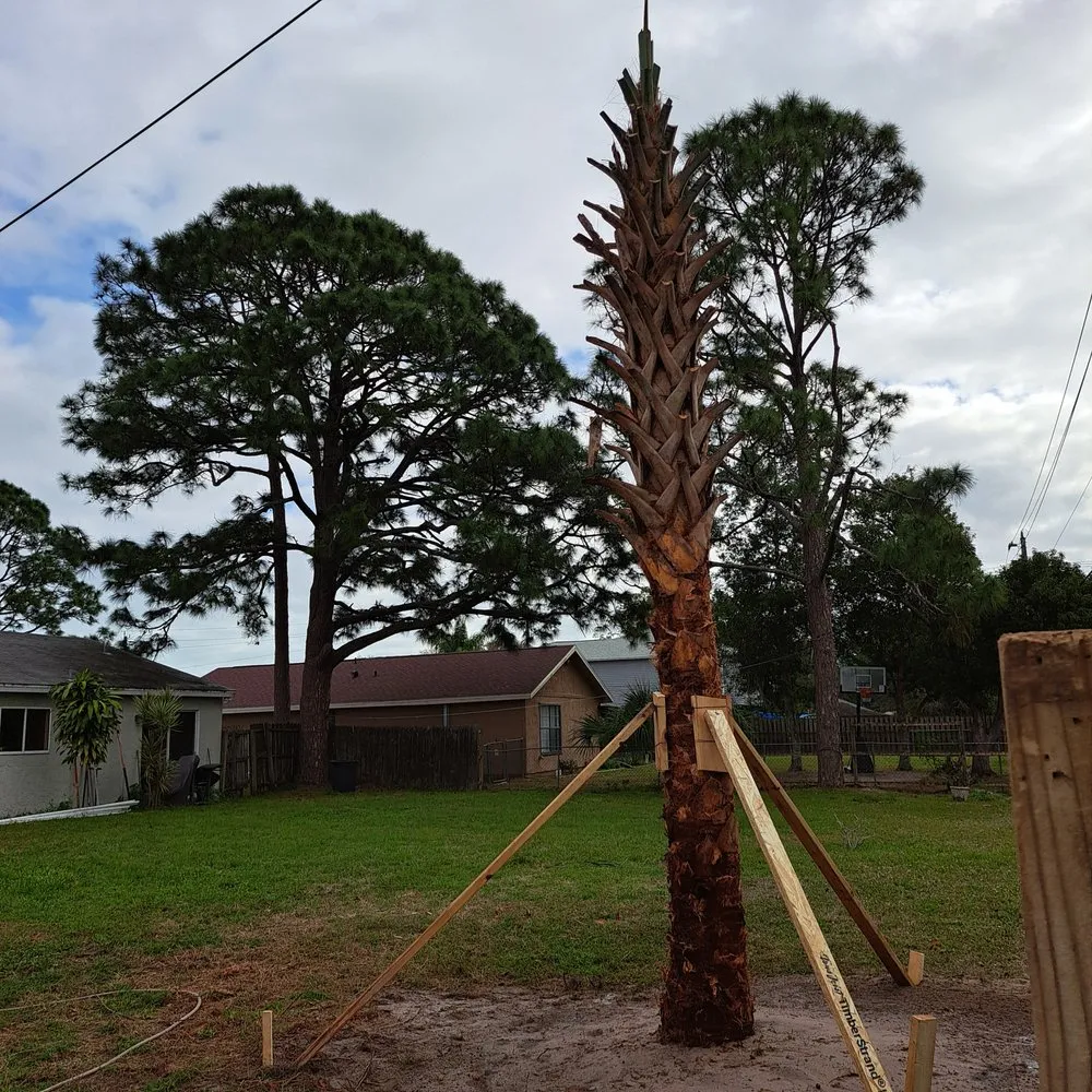 Custom yard cleanup service experts serving Melbourne, FL - Tree’s R us