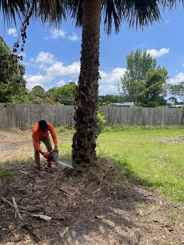 Local residential landscaping in Melbourne, FL - Tree’s R us
