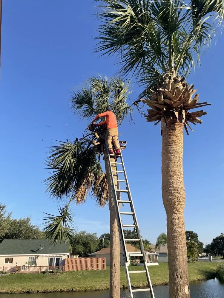 Expert garden landscaping with custom design in Melbourne, FL by Tree’s R us