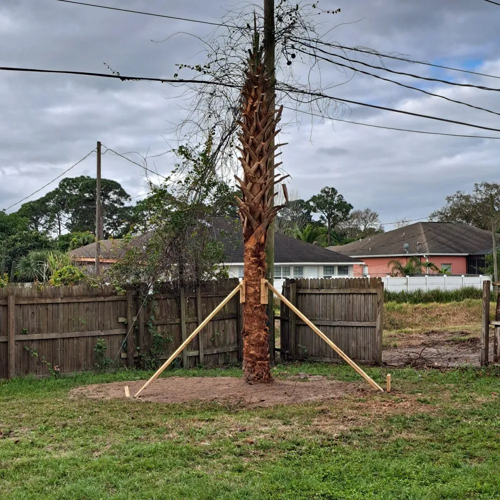 Reliable landscape design experts serving Melbourne, FL - Tree’s R us