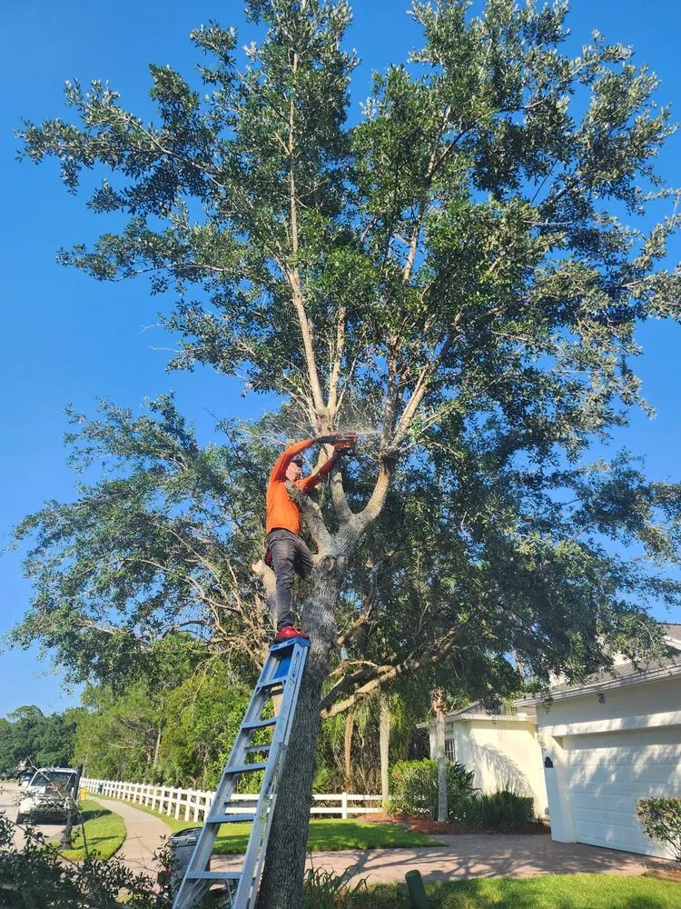 Trusted landscape installation in Melbourne, FL by Tree’s R us