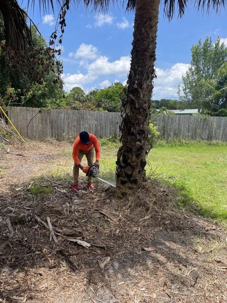 Local landscaping services experts serving Melbourne, FL - Tree’s R us