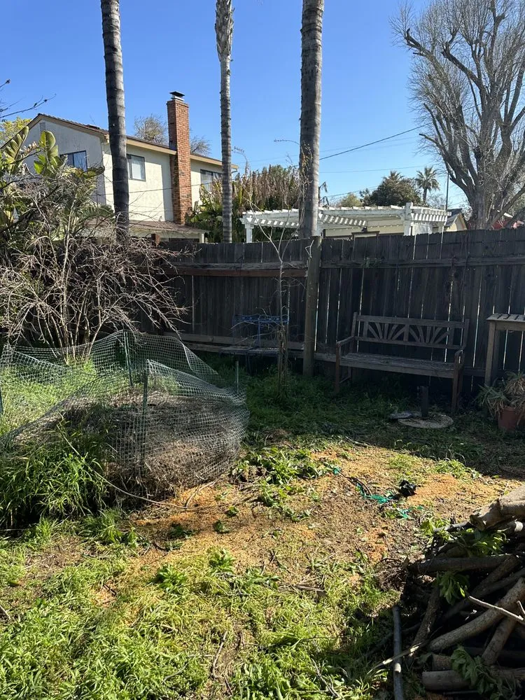 Reliable landscape installation experts serving Sacramento, CA - Trees R US