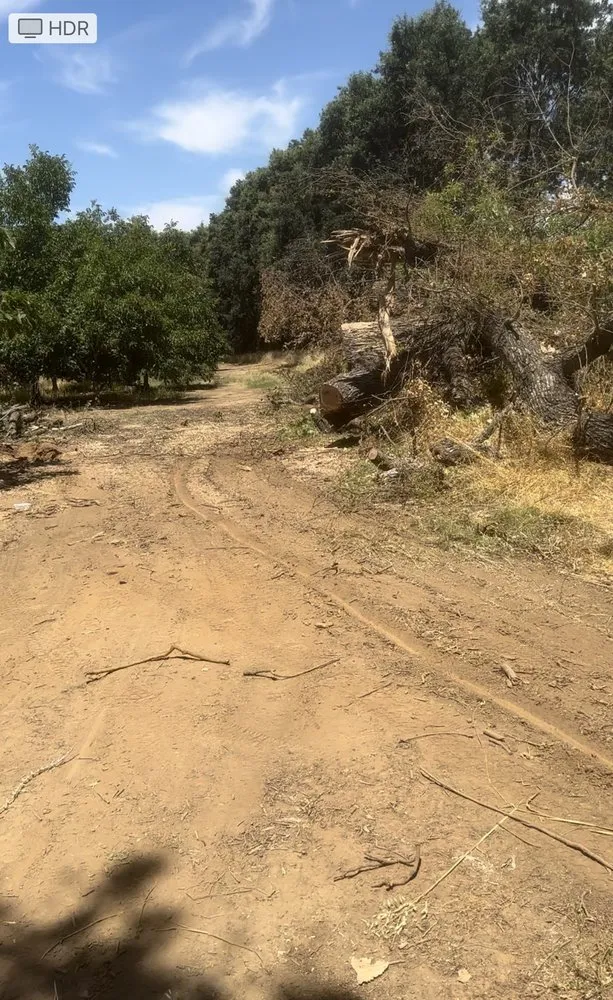 Top-rated landscape design experts serving Sacramento, CA - Trees R US