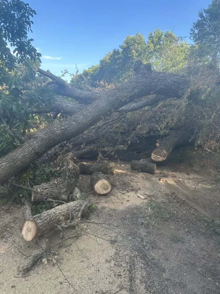 Custom garden landscaping for beautiful yards across Sacramento, CA - Trees R US