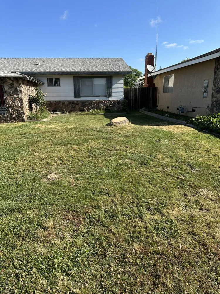 Custom outdoor landscaping in Sacramento, CA by Trees R US